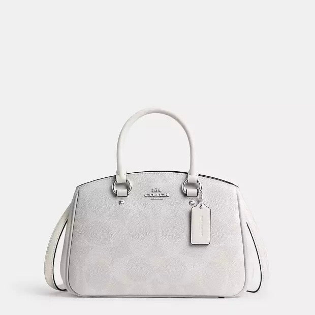 Savannah Small Carryall Bag