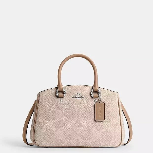 Savannah Small Carryall Bag