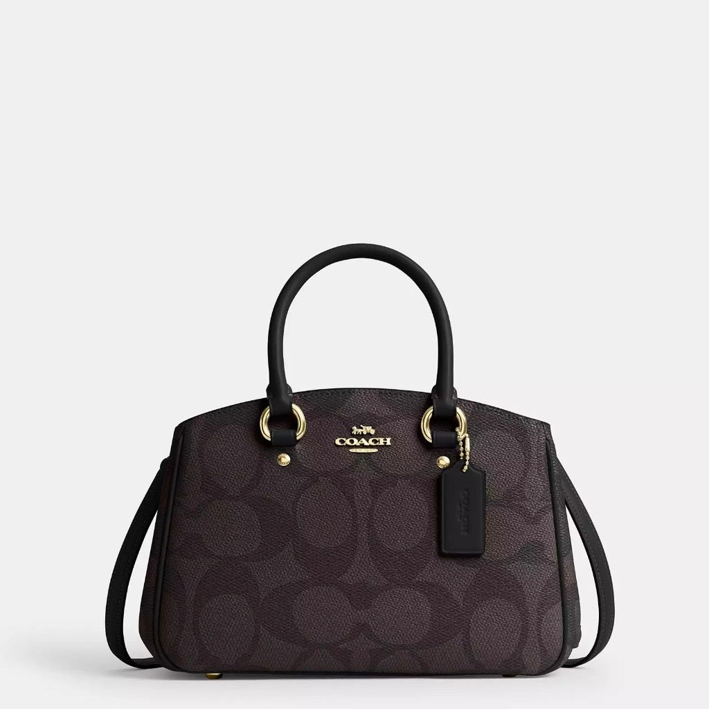 Savannah Small Carryall Bag